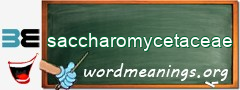 WordMeaning blackboard for saccharomycetaceae